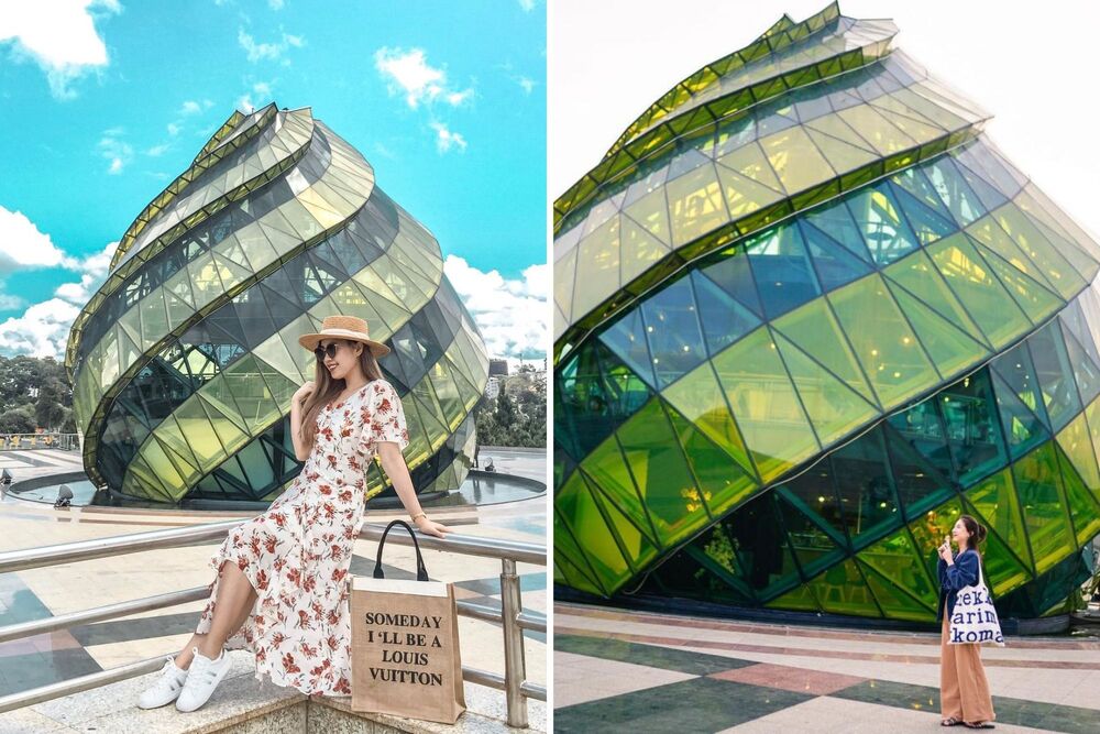 Chụp ảnh lấy góc từ dưới lên để lấy được toàn cảnh nụ hoa Atiso và một phần bầu trời
